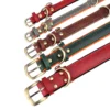 S12474ee340ee4ede9936b7191ed1b043o.webp Coleira Personalizada para Cães em Couro PU com Gravação Grátis – Coleira com Placa de Identificação (Nome e Telefone) para Cães de Pequeno, Médio e Grande Porte