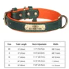 S8e93917c075845c7989f182ca1838c4aK.webp Coleira Personalizada para Cães em Couro PU com Gravação Grátis – Coleira com Placa de Identificação (Nome e Telefone) para Cães de Pequeno, Médio e Grande Porte