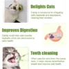 Sa94bfac721164710a1dde5c7e086c83aR.webp Bola de Erva de Gato Natural (Catnip) em Formato de Abacate – Brinquedo Comestível e Snack para Limpeza de Dentes e Entretenimento de Gatos