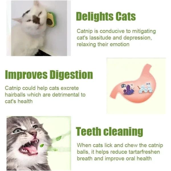 Sa94bfac721164710a1dde5c7e086c83aR.webp Bola de Erva de Gato Natural (Catnip) em Formato de Abacate – Brinquedo Comestível e Snack para Limpeza de Dentes e Entretenimento de Gatos