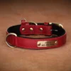 Sbfade32fbac44a2594c631c33b060dfa5.webp Coleira Personalizada para Cães em Couro PU com Gravação Grátis – Coleira com Placa de Identificação (Nome e Telefone) para Cães de Pequeno, Médio e Grande Porte