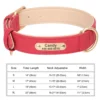 Sc5f063bfd68d46678e25d31f86327cces.webp Coleira Personalizada para Cães em Couro PU com Gravação Grátis – Coleira com Placa de Identificação (Nome e Telefone) para Cães de Pequeno, Médio e Grande Porte