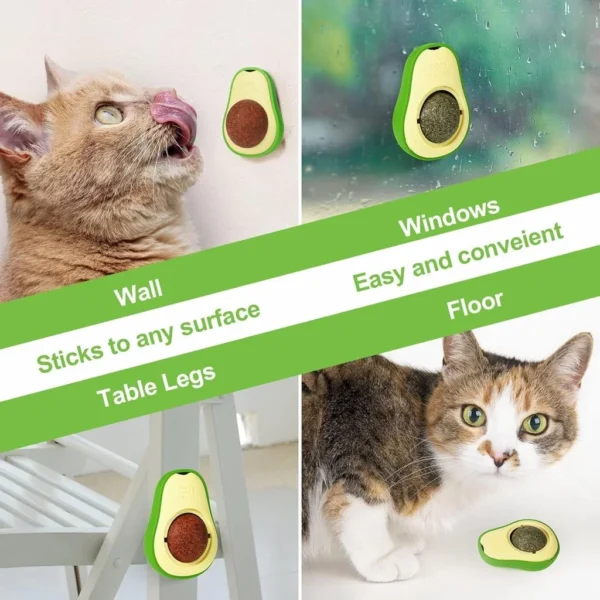 Se068f1cef6be4fa8b46ce4db9bbfdddfy.webp Bola de Erva de Gato Natural (Catnip) em Formato de Abacate – Brinquedo Comestível e Snack para Limpeza de Dentes e Entretenimento de Gatos