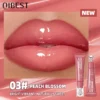 Sfcb4496e72f74a9bb5a3d55e0297648bq.webp Gloss Labial Pérola Espelhado Batom Hidratante de Longa Duração Brilho Glitter Lip Glaze Não Gruda Jelly Pout Lip Tint Maquiagem QIBEST